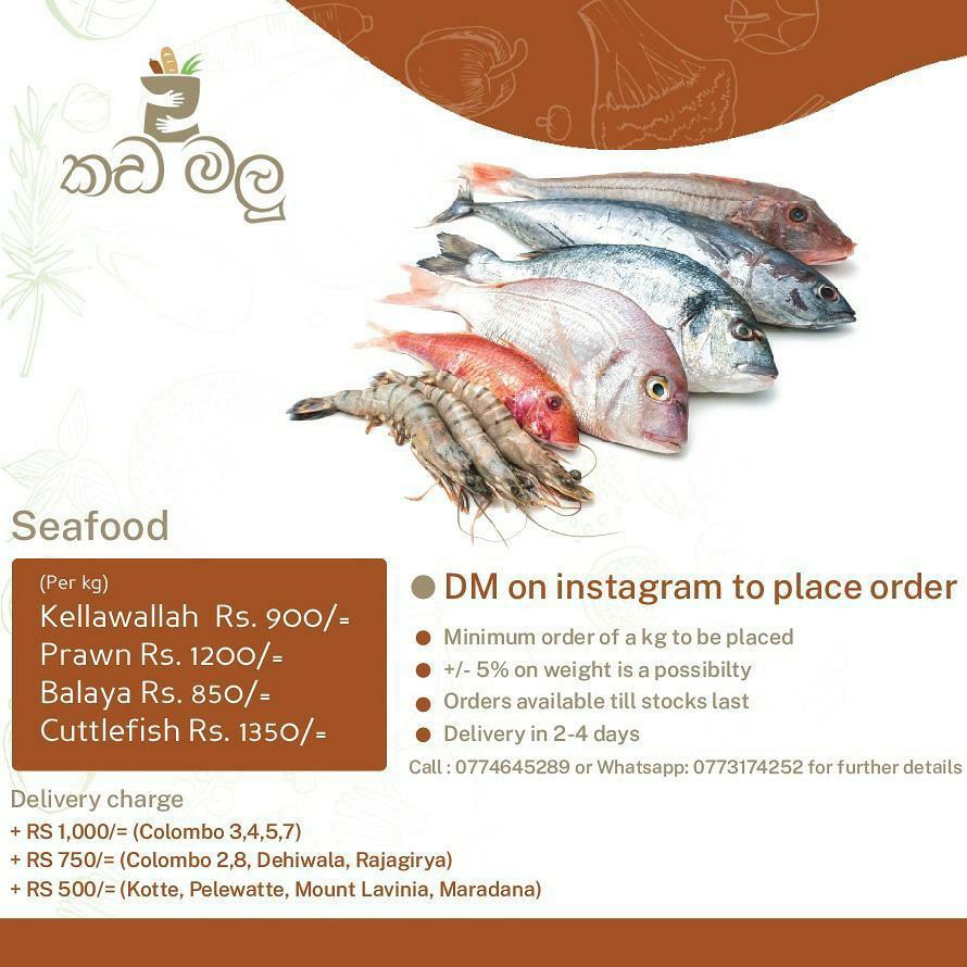 Kada Malu Essentials